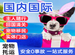 中卫沙坡头航空快递国际宠物托运 【国